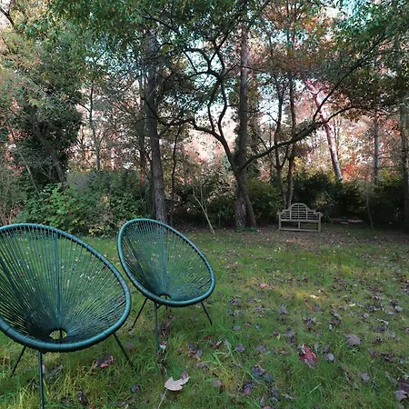 In With Forest And Hot Tub, Cleaning Included בית נופש