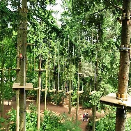 In With Forest And Hot Tub, Cleaning Included